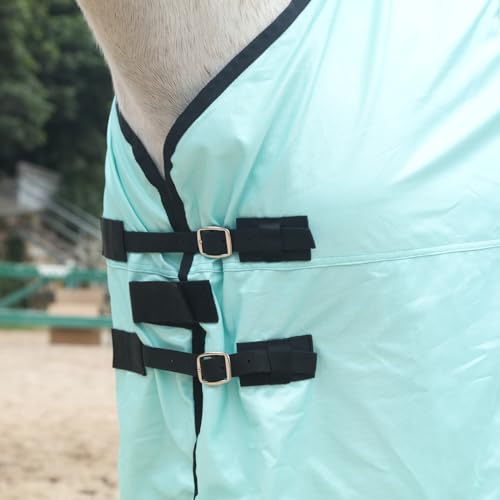 Horse Fly Sheet (Green / 78)