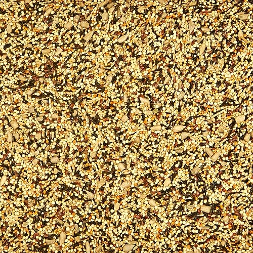 Wild Finch Bird Food Stand Up Bag (5 Pound (Pack of 1))