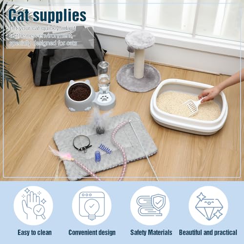10 Pcs Kitten Starter Kit for Indoor (Cute / Medium / Gray)