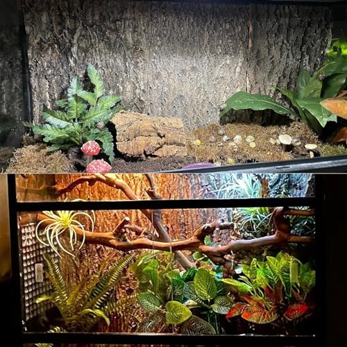 2PCS Cork Terrarium Background (2Pcs-11.8”x7.9”)