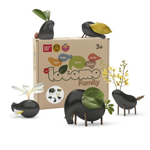 Locomo Family BK (Black)
