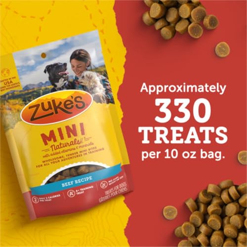 Mini Naturals Dog Training Treats (1 Pound (Pack of 1))