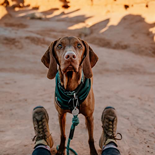 Dog Bandana with Lightweight Quick Drying Poly (Evergreen Topo)