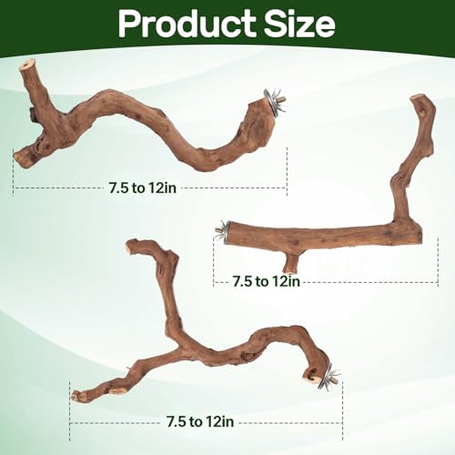 3 Piece Premium Bird Perch Stand with Natural Grape Wood Branch (Grape / 3Piece)