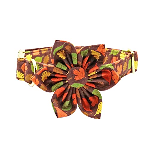 Fall Dog Collar with Bow (S / mapleleaf flower)