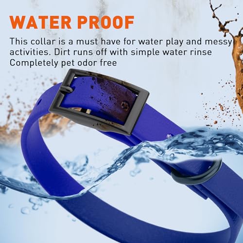 Biothane Waterproof Dog Collar Strong Coated Nylon Webbing with Black Hardware Odor (W1/2" x L9-12" / Blueberry Royal)
