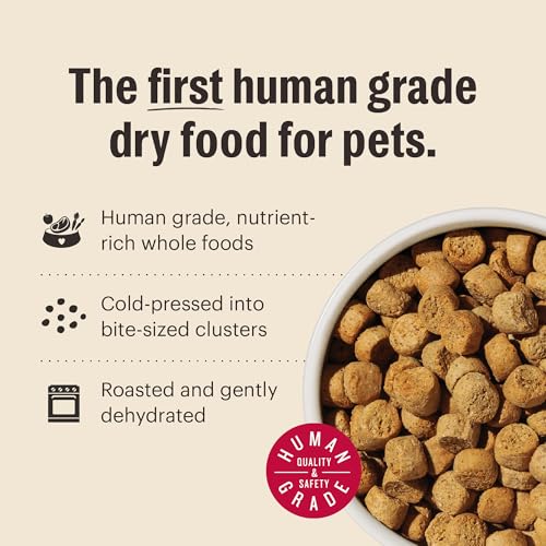 Grain Free Chicken & Superfoods Whole Food Clusters (20 Pound (Pack of 1))