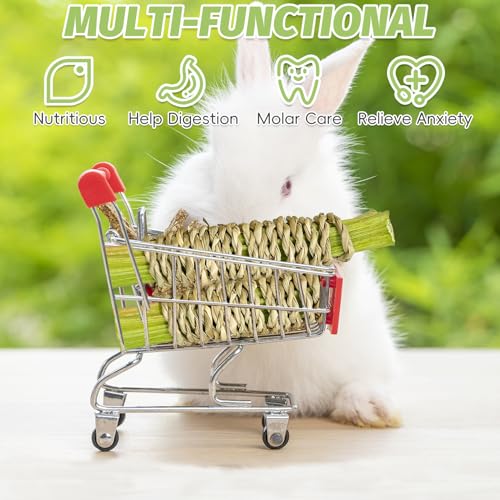 24 PCS Rabbit Chew Sticks