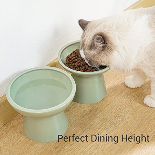 Extra Wide Elevated Ceramic 6.2" Deeper Cat Water Bowl (Sage Green-Deeper)