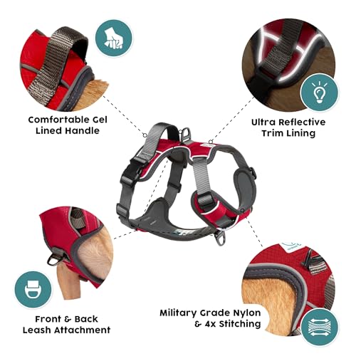 Embark No Pull Dog Harness (XS / Red)