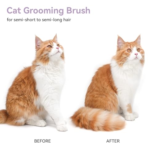 Cat and Dog Grooming Brush for Shedding (Purple)