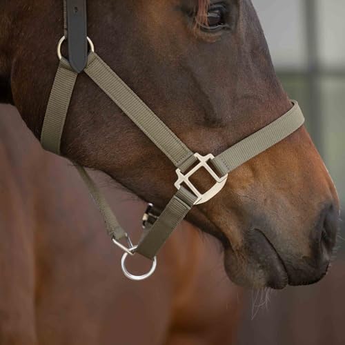 Loki Nylon Horse Halter (Light Olive / Pony)