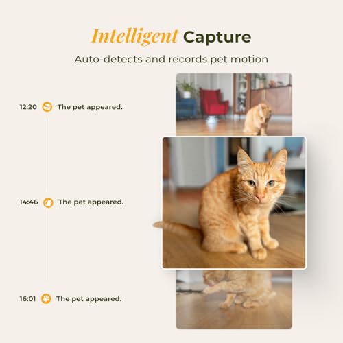 Automatic Cat Feeder with Camera