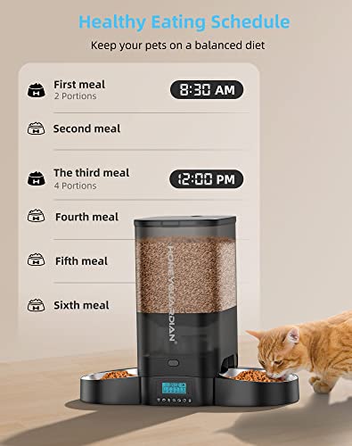 5L Automatic Cat Feeder for Two Cats