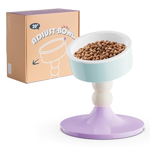 Ceramic Elevated Raised Cat Bowls (Lavender & Mint)