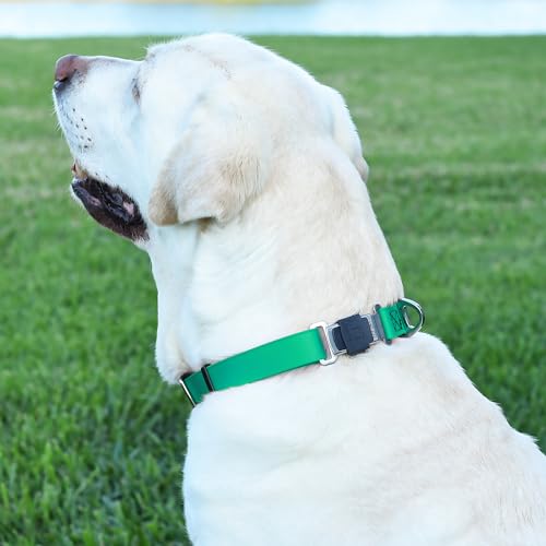 Biothane Waterproof Dog Collar with Herm Sprenger Black Stainless Steel Quick Release Buckle (W 1" x L 15"-25" / Teal)