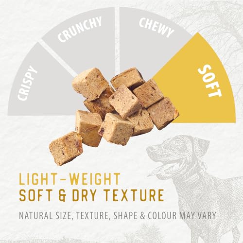 Chicken Morsels Dog Treats (4.4 Ounce (Pack of 1))