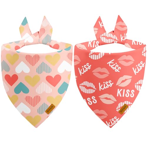 Valentines Dog Bandana (Small / Valentines-Pink)