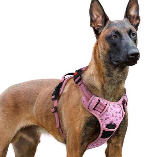 Dog Harness for Large (Floral Pink / X-large)