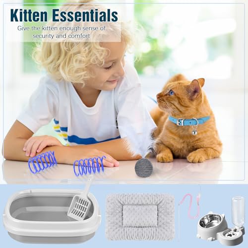 10 Pcs Kitten Starter Kit for Indoor (Cute / Medium / Gray)
