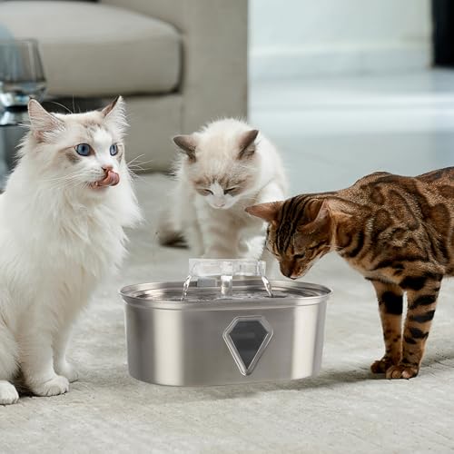 Cat Water Fountain (Stainless Steel and PC)