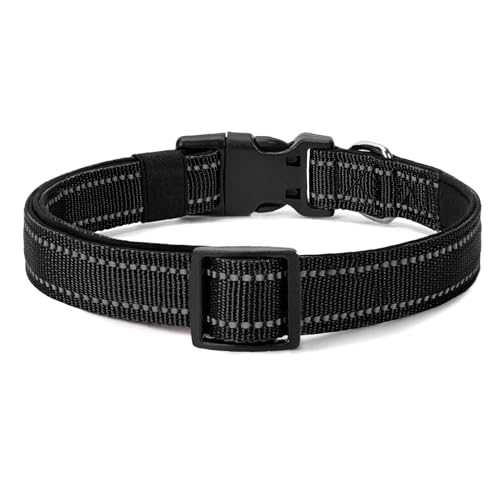 Reflective Dog Collar (Black / XS:width 5/8"neck 8-10.5")