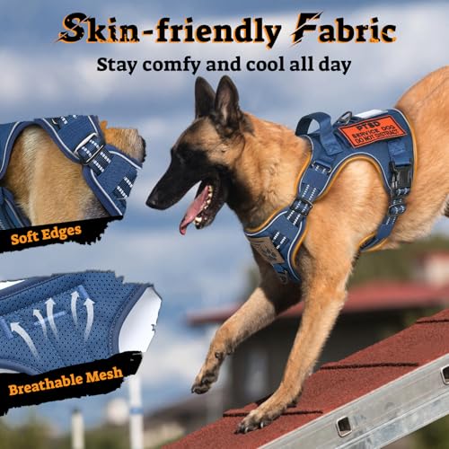 Tactical Dog Harness for Large Dogs (L(Chest:22"-37",Neck:21.1"-30.3",Back:8.3") / Blue)