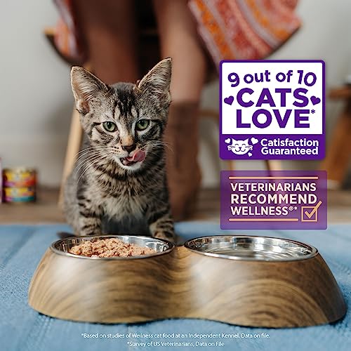 Healthy Indulgence Morsels Adult Wet Cat Food (3 Ounce (Pack of 24))
