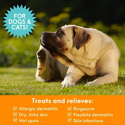 Medicated Pet Shampoo