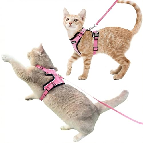2 Pack Escape (Pink / M)