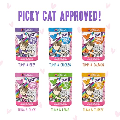 B.F.F. OMG Best Feline Friend Oh My Gravy! (3 Ounce (Pack of 12))