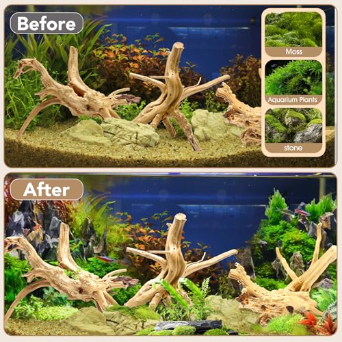 Natural Large Spiderwood Driftwood for Aquarium Decor Rptile Fish Tank Decoration Assort Branch 7 (Spiderwood 7 to 11 Inch (Pack of 3))