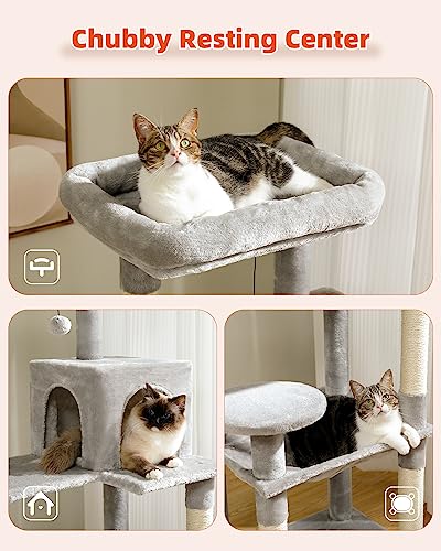 56.3" Cat Tree for Indoor Cats Large Adult with Hammock