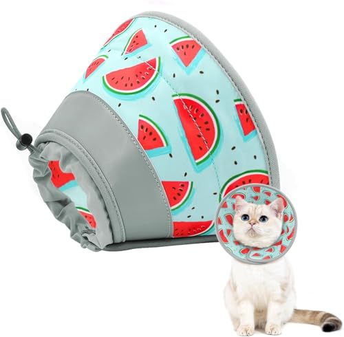 Cat Cone Collar Soft to Stop Licking (Blue / L)