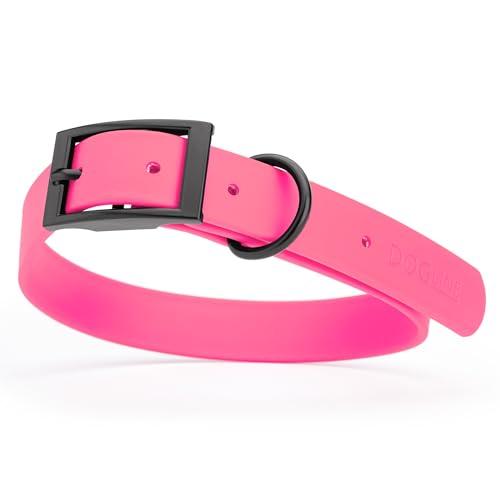 Biothane Waterproof Dog Collar Strong Coated Nylon Webbing with Black Hardware Odor (W1" x L18-22" / Passionfruit Pink)