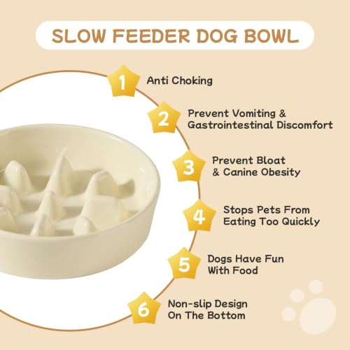 Elevated Slow Feeder Dog Bowls (Light Yellow)