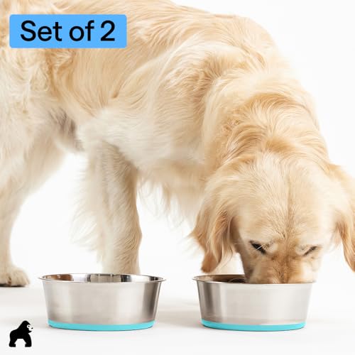 Dog Bowls Food Grade Stainless Steel (Turquoise / 8 Cup (Set of 2))