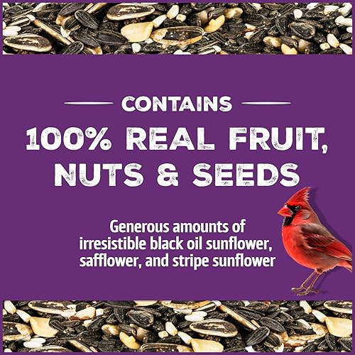 Songbird Nut & Fruit Blend Wild Bird Seed for Outside Feeders (10 lb)