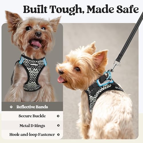 Dog Harness Small Sized and Leash Set (Black Zigzag / Xs (chest: 13.3 - 15.5"))
