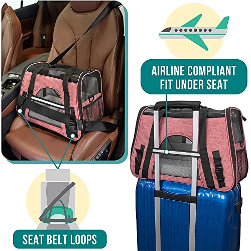Airline Approved Pet Carrier Cat Small Dogs (Light Red / 19.5"L x 10.2"W x 12.0"H)