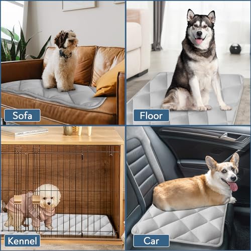 Dog Crate Pad 2 Pack (36 x 23 Inch)
