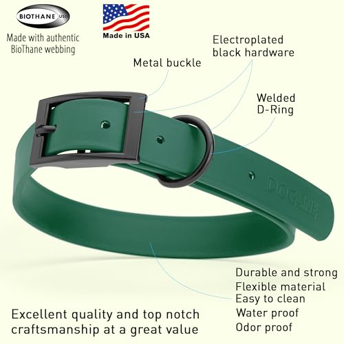 Biothane Waterproof Dog Collar Strong Coated Nylon Webbing with Black Hardware Odor (W1" x L18-22" / Hunter Green)