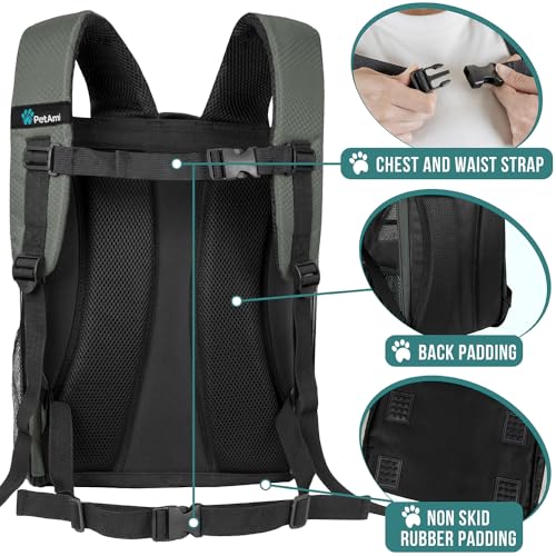 Dog Backpack Carrier for Small Large Cat (Dark Gray)