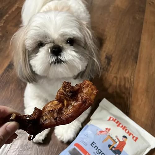 Beef Tendons for Dogs & Puppies (2.3 Ounce (Pack of 5) / Turbo)