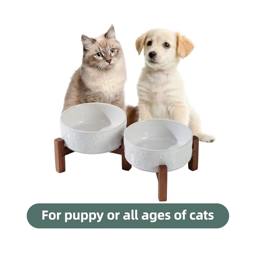 Elevated Dog Bowls (Double Bowls with Stand- Arctic White / 1.6CUPS)