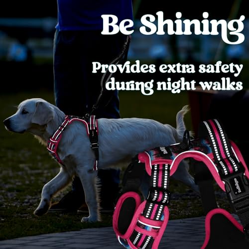 Dog Harness Small Sized (Mountain Rose / Small)
