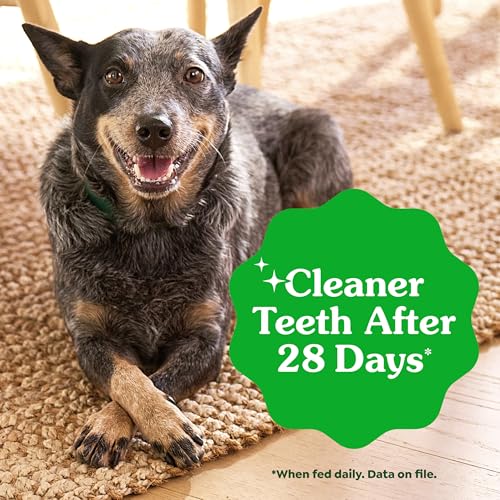 Weight Management Teenie Size Natural Dental Dog Treats (96 Count (Pack of 1))