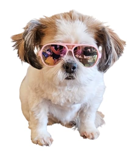 G029 Dog Cat Pet Aviator Sunglasses Glasses for Small Breeds up to 15lbs (Small, Up to 15lbs, Pink-pink mirror)