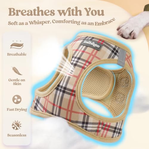 Dog Harness Small Sized and Leash Set (Beige Plaid / Xs (chest: 13.3 - 15.5"))