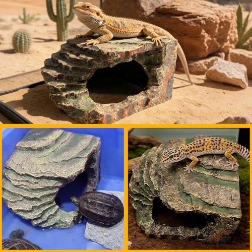 Small Turtles Basking Platform